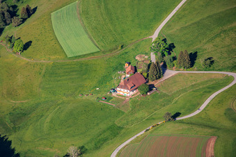 Vogtsbauer(Schwarzwald) am Mooswald im Ortsteil Diesenhof in Lauterbach im Bundesland Baden-Württemberg, Deutschland