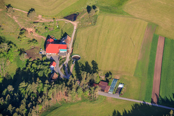 Schwarzwaldhöfe im Ortsteil Fohrenbühl in Hornberg im Bundesland Baden-Württemberg, Deutschland
