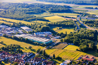 Frischeplattform Südwest GmbH im Ortsteil Minderslachen in Kandel im Bundesland Rheinland-Pfalz, Deutschland