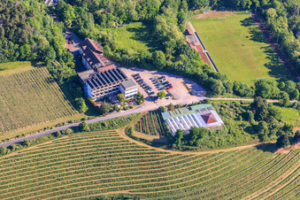 Arens Hotel 327m NN im Ortsteil SaintMartin in Sankt Martin im Bundesland Rheinland-Pfalz, Deutschland