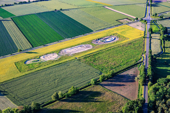 Neuanlage der Biotop-Ausgleichsflächen zur Umsiedlung des Kiebitz in Folge des Windparks an der Maxstraße in Hatzenbühl im Bundesland Rheinland-Pfalz, Deutschland