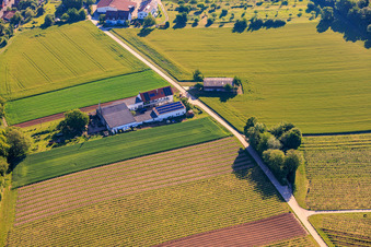 Kehler Hof im Ortsteil Ingenheim in Billigheim-Ingenheim im Bundesland Rheinland-Pfalz, Deutschland