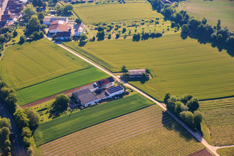 Kehler Hof im Ortsteil Ingenheim in Billigheim-Ingenheim im Bundesland Rheinland-Pfalz, Deutschland