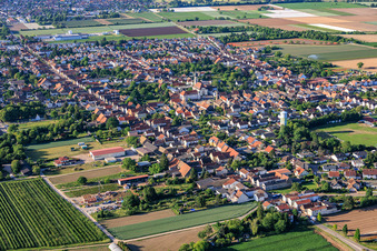 Böhl aus Norden in Böhl-Iggelheim im Bundesland Rheinland-Pfalz, Deutschland