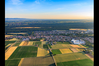 Bellheim