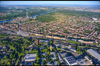 Stadtteilübersicht aus Norden von der Neckarauer Straße bis zum Waldpark am Rhein in Mannheim im Bundesland Baden-Württemberg, Deutschland