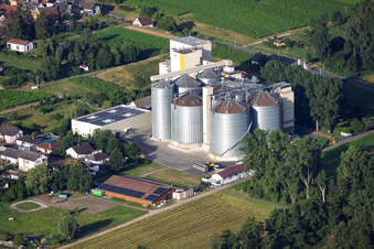 Freimersheim
