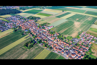 Herxheim bei Landau/Hayna