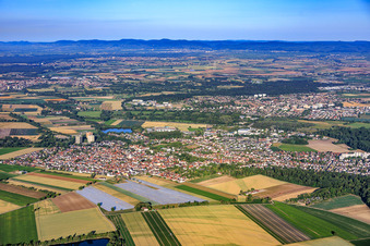 Neuhofen