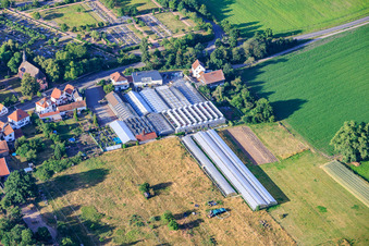 Pflanzenwelt Dienst - Gartencenter im Ortsteil Iggelheim in Böhl-Iggelheim im Bundesland Rheinland-Pfalz, Deutschland