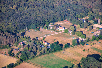 Neustadt an der Weinstraße