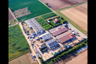 Hof, Wohncontainer und Hallen von Gemüseanbau - Dieter Stubenbordt in Zeiskam im Bundesland Rheinland-Pfalz, Deutschland