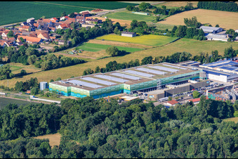 Gewerbegebiet Horst aus Nordosten mit Lager der Frischeplattform Südwest GmbH im Ortsteil Minderslachen in Kandel im Bundesland Rheinland-Pfalz, Deutschland
