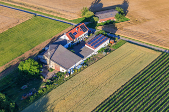 Aussiedlerhof Kehler Hof im Ortsteil Ingenheim in Billigheim-Ingenheim im Bundesland Rheinland-Pfalz, Deutschland