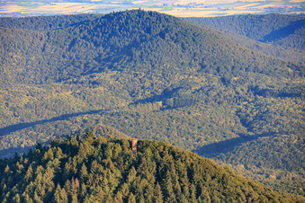 Waldrohrbach