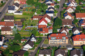 Im Rosengarten in Winden im Bundesland Rheinland-Pfalz, Deutschland