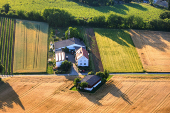 Aussiedlerhof Kehler Hof im Ortsteil Ingenheim in Billigheim-Ingenheim im Bundesland Rheinland-Pfalz, Deutschland