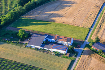 Aussiedlerhof Kehler Hof im Ortsteil Ingenheim in Billigheim-Ingenheim im Bundesland Rheinland-Pfalz, Deutschland
