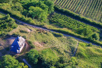 Kapelle Kleine Kalmit mit Ziegenherde im Ortsteil Arzheim in Landau in der Pfalz im Bundesland Rheinland-Pfalz, Deutschland