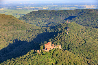 Drei Burgen: Trifels, Anebos, Jungturm Münz und renovierter Turm Scharfenberg im Ortsteil Bindersbach in Annweiler am Trifels im Bundesland Rheinland-Pfalz, Deutschland