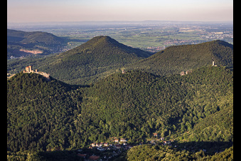 Drei Burgen aus Südwesten: Trifels, Anebos, Jungturm Münz und renovierter Turm Scharfenberg im Ortsteil Bindersbach in Annweiler am Trifels im Bundesland Rheinland-Pfalz, Deutschland