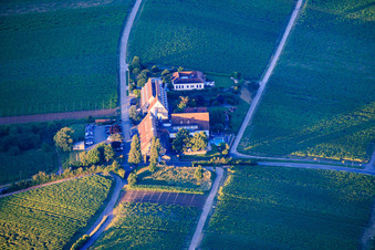 Letzter Sonnenstrahl auf den Leinsweiler Hof im Bundesland Rheinland-Pfalz, Deutschland
