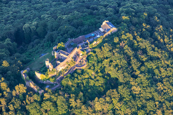 Burgruine Madenburg aus Westen in Eschbach im Bundesland Rheinland-Pfalz, Deutschland