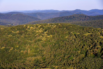 Schweigen-Rechtenbach/Schweigen