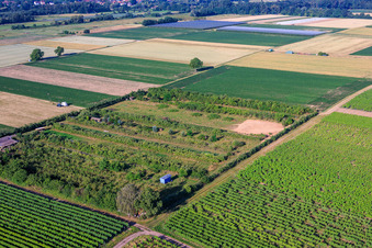 Plantage mit Arbeitsbereich für den Windradbau im Ortsteil Mühlhofen in Billigheim-Ingenheim im Bundesland Rheinland-Pfalz, Deutschland