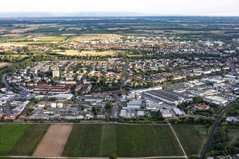 Horstring und Gewerbegebiet Landau-Nord aus Norden am Abend in Landau in der Pfalz im Bundesland Rheinland-Pfalz, Deutschland