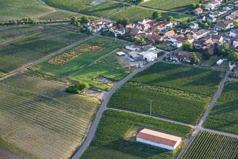 Vinothek Weingut Familie Sauer im Ortsteil Nußdorf in Landau in der Pfalz im Bundesland Rheinland-Pfalz, Deutschland