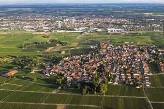 Winzerdorf aus Norden im Ortsteil Nußdorf in Landau in der Pfalz im Bundesland Rheinland-Pfalz, Deutschland