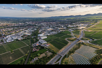 Landau-Nord jenseits der B10 aus Nordosten am Abend in Landau in der Pfalz im Bundesland Rheinland-Pfalz, Deutschland
