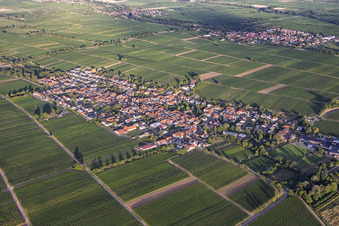 Roschbach