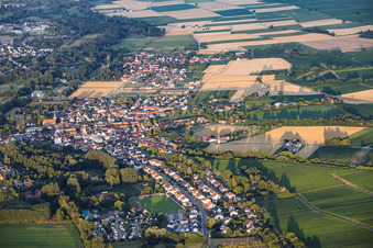 Billigheim-Ingenheim/Ingenheim