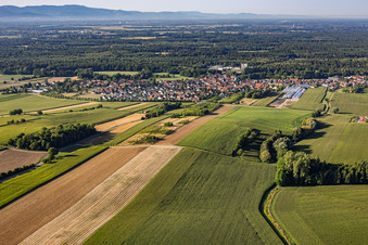 Niederrœdern