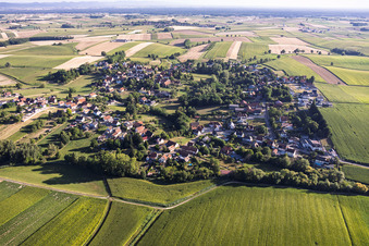 Eberbach-Seltz