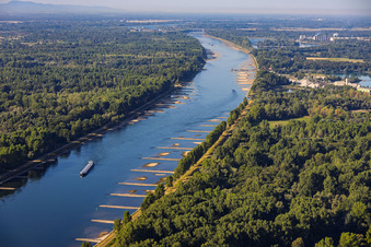 Rhein bei Niedrigwasser in Munchhausen im Bundesland Bas-Rhin, Frankreich