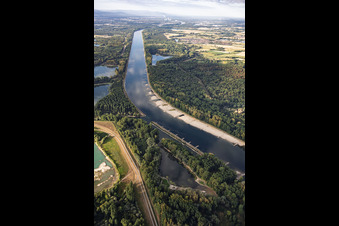 Sandbänke und Buhnen bei Niedrigwasser am Rhein zwischen Hördter Rheinaue und Insel Rott im Bundesland Rheinland-Pfalz, Deutschland