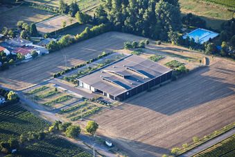 Neustadt/Duttweiler