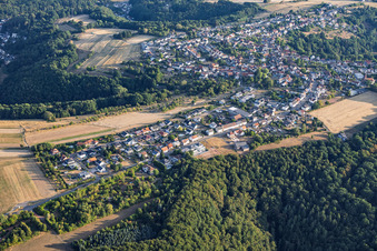 Erlenbrunn aus Süden in Pirmasens im Bundesland Rheinland-Pfalz, Deutschland
