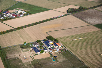 Aussiedler-Hof Seltzer Landwirtschaft und KSP Kartcenter Mach 1 im Ortsteil Langstadt in Babenhausen im Bundesland Hessen, Deutschland