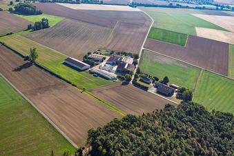 Ingo Deiler Lindenhof und Jost Appartmenthaus im Ortsteil Kleestadt in Groß-Umstadt im Bundesland Hessen, Deutschland