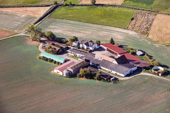 Lützelforstmühle im Ortsteil Richen in Groß-Umstadt im Bundesland Hessen, Deutschland