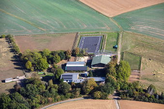 Heil Pferdehöfe im Ortsteil Klein-Umstadt in Groß-Umstadt im Bundesland Hessen, Deutschland