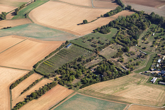 Baumschule am Alten Wasserwerk Mosbach in Schaafheim im Bundesland Hessen, Deutschland