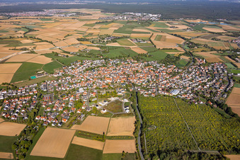 Ortsansicht mit Baumschule am St.-Luzia-Weg von Südosten im Ortsteil Pflaumheim in Großostheim im Bundesland Bayern, Deutschland