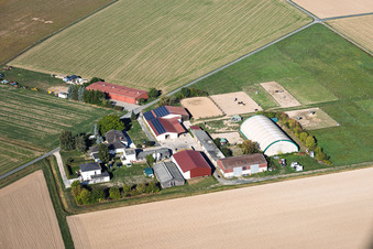 Aussiedlerhof von Lothar Krapp Landwirt im Ortsteil Langstadt in Babenhausen im Bundesland Hessen, Deutschland