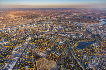 Stadtübersicht aus Westen von der Saarburger Straße und A650 bis zum Rhein im Ortsteil Friesenheim in Ludwigshafen im Bundesland Rheinland-Pfalz, Deutschland