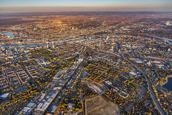 Stadtübersicht aus Westen von der Hohenzollernstraße und A650 bis zum Rhein im Ortsteil Hemshof in Ludwigshafen im Bundesland Rheinland-Pfalz, Deutschland